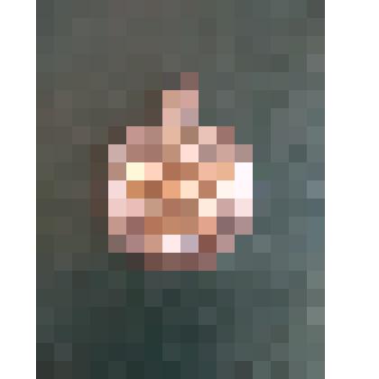 Медаль  «За 15 лет безупречной службы » Трохаева А.И