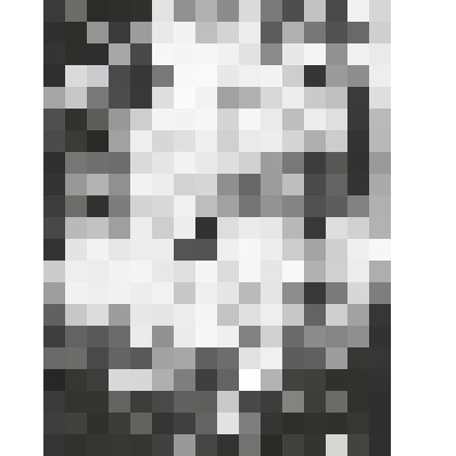 Фотография. Хозяин леса