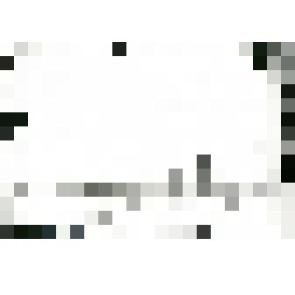 Фотокопия со стеклянных негативов. Останки мамонта, обнаруженные на Новосибирских островах в ходе Русской полярной экспедиции Э.В. Толля