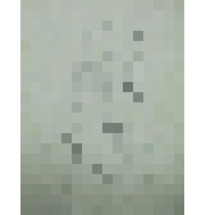 Мужской портрет. Рисунок