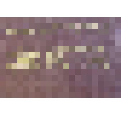 Билет ДСО  "Билет ДСО "Труд" Филиппова В.М."