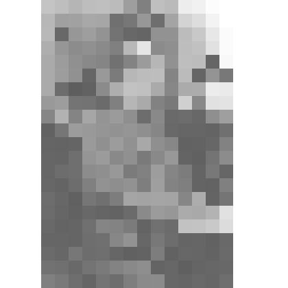 Фото. Маяковская А.А