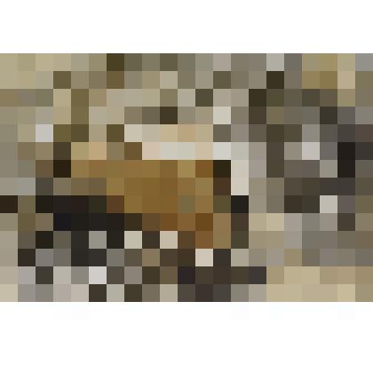 1 отряд  клуба « Искатели», восстанавливающие историю совхоза до Великой отечественной войны