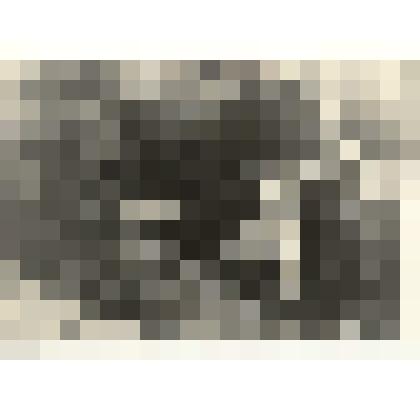 Фотография: подсосный метод выращивания телят, применяемый в совхозах и колхозах Каменского района Алтайского края