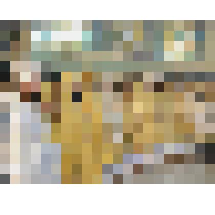 Ф/цв. Хиротония Епископа Покровского и Николаевского Пахомия (стоит слева в светлом богослужебном облачении среди архиереев). Николо-Угрешский монастырь г. Дзержинск. 19.12.2011