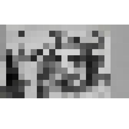 Фотография черно-белая "Олени возле самолета"