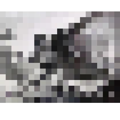 Фотография "Гвардии казак"