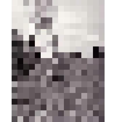 Фотография. Дорожка в деревню