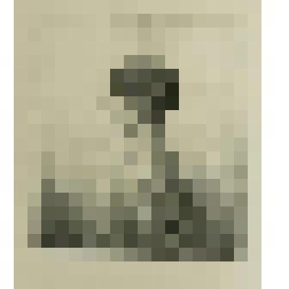 Женский портрет