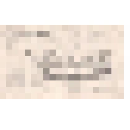 Приглашение на Устный журнал «Власть Советов – власть народная!»