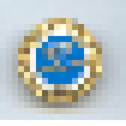 Значок «Общество борьбы за трезвость»