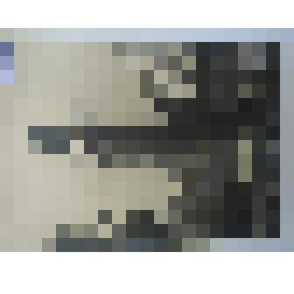 Фото.Бюст поэта