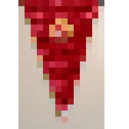 Знамена, флаги, вымпела. Вымпел спортивный изготовлен из красного бархата треугольной формы, края его обшиты витым шнуром жёлтого цвета. На одной стороне белыми шелковыми нитками вышита надпись: "От спортсменов РСФСР", на другой стороне вымпела вышит герб