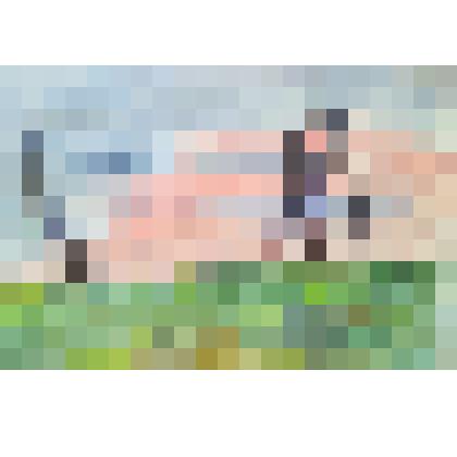 Графический рисунок "Пост"