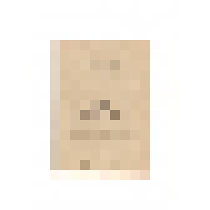 Программа «Порядок дня и регламент работы 43-й комсомольской конференции», с. Тюменцево, ноябрь 1979 год