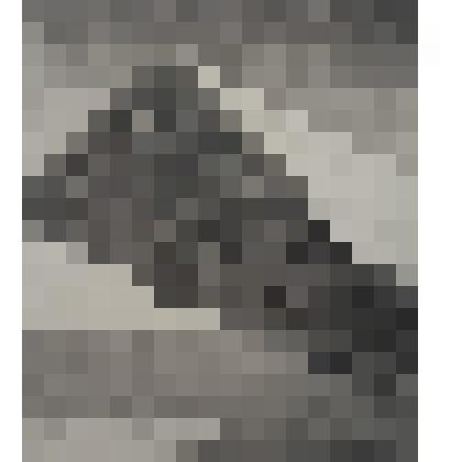 "Инсинуации" 1