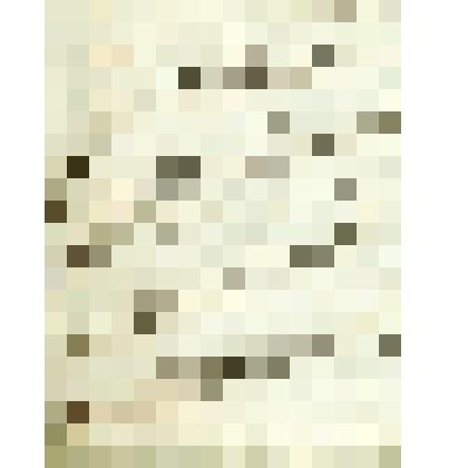 Письма увольнительные государственным и черносошным крестьянам Сольвычегодской округи