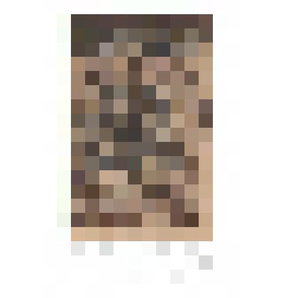 EX LIBRIS Михаила Борисовича PIOTROVSKY. 2004