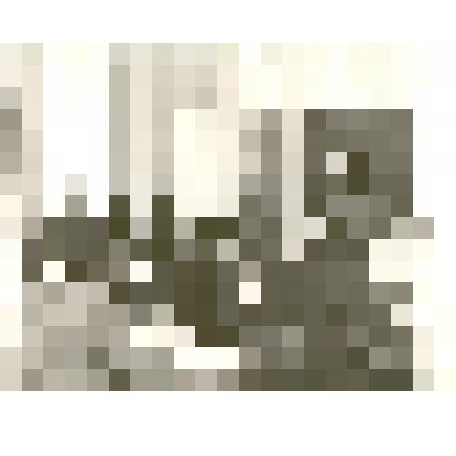 Фотография: бывшая выпускница Каменского педагогического училища Агеева Эмилия Леонидовна ведет урок педагогики в группе физкультурного отделения