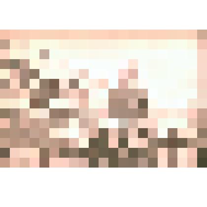 Негатив ч/б "Новоселье"