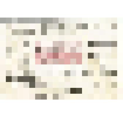 Письмо Н. Арнеля Н. М. Мартьянову на иностранном языке (немецком)