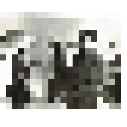 Фотография сюжетная. Левин Г.М. - Герой Социалистического Труда на выставке