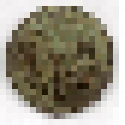 Монета. Российская империя