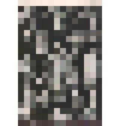 Иллюстрация. Таблица № 63. Выпуск "11-13".
 Из комплекта таблиц "Красота форм в природе"