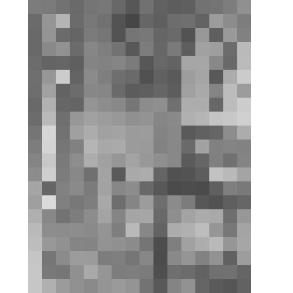 Фермерский дворец. Уборная Александра II. Диван и южный стенной шкаф