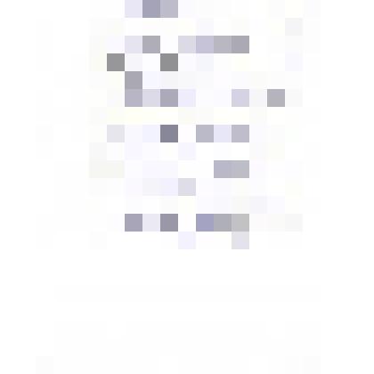 Письмо С.В. Киселёву от Шамотульской М.А.,11.08.1987 г