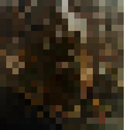 Конец войны