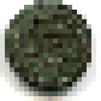 Монета металлическая достоинством "Денга", 1748 год