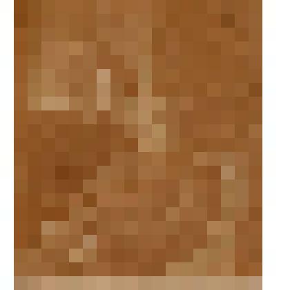 Фотография А. Д. Путяты с дочерью Анной. 1904 год