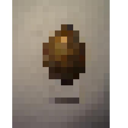 Жетон с изображением Л.Н.Толстого