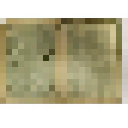 Альбом для фотографий зелёного цвета с орнаментом из цветов и листьев