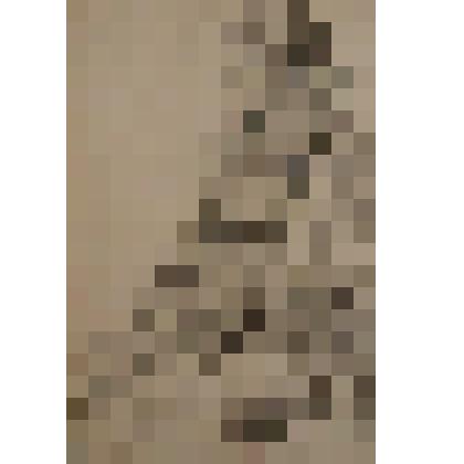 Фатеев Василий Иванович " Портрет женщины в шапке"