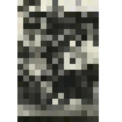 Фотография.  Козлов Геннадий Иванович, двоюродный брат Шукшина Василия Макаровича по линии матери, с фотокорреспондентом П. Форисом