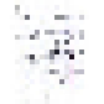 Воспоминание Л.Я.Брижатовой о ее поездке в Россию в 1971 г. с предисловием на 44 листах. Из коллекции Брижатовой Л.С