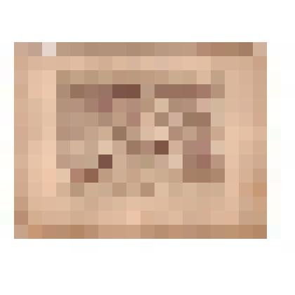 Фотография. Режевской завод. Кричная фабрика