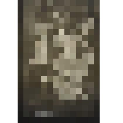 Фотонегатив. Снимок агитационного плаката "Пьём воду родного Днепра будем пить из Прута, Немана и Буга! Очистим Советскую землю от фашистской нечисти!"