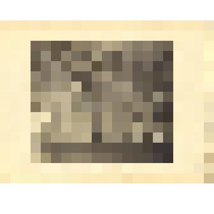 Фото-тинто-гравюра. Большой зал Розового павильона. (С фотографии Н. Г. Матвеева). Из комплекта печатной графики "Историческая панорама Санкт-Петербурга и его окрестностей. Часть шестая. Павловские дворцы и дворцовый парк"