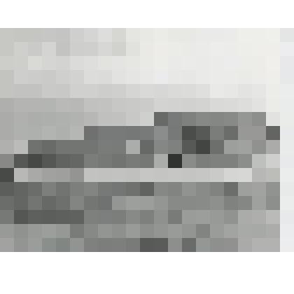 Фотография ч/б. Здание Леспаркхоза Зеленоградский