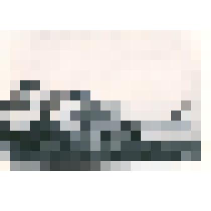 Фотография: строительство железнодорожного моста через реку Обь в г.Камне-на-Оби Алтайского края