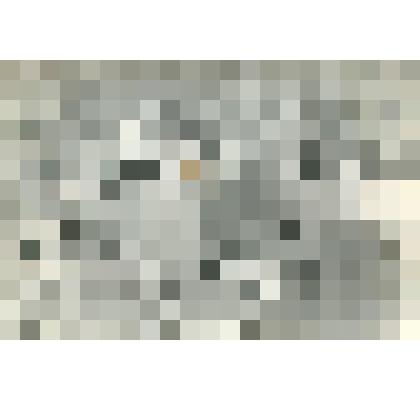 Фотография. Уборка и вязка редиса в колхозе "Огородный гигант" им. Н.С. Хрущева