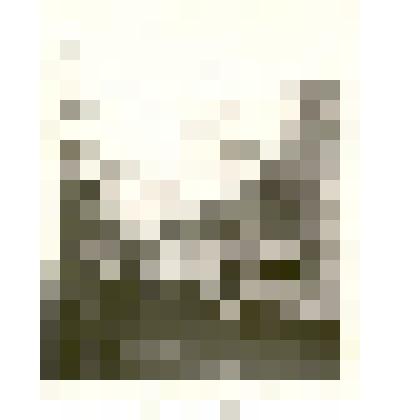 Фотография: вид улицы Ленина в г.Камень-на-Оби Алтайского края