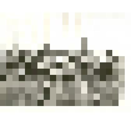 Фотография: бригада путейцев 15 околотка на смене шпал