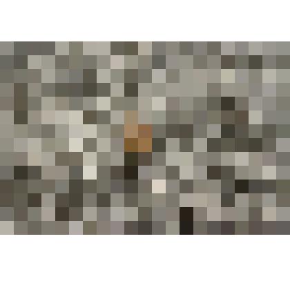 Значок круглый, золотистый с непонятными иероглифами на игле