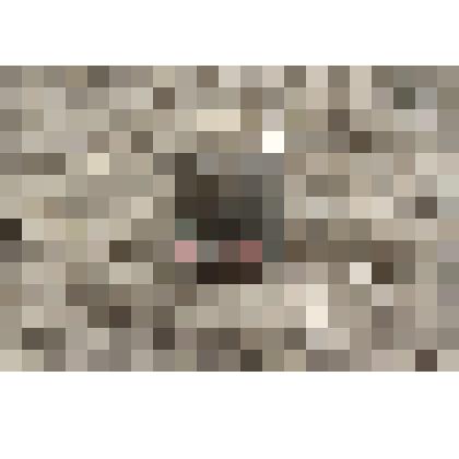 Значок: 100 Ленин