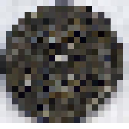 Монета. Богемия. Спытигнев II (1055-1061), денарий