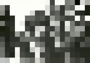 Фотография. Кадр из фильма "Поговорим, брат"